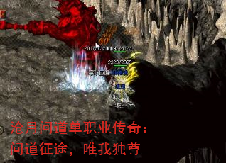 �����ʵ���ְҵ���棺�ʵ���;��Ψ�Ҷ���