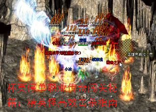 ��Īͣ��ְҵ���洳���ؼ�����Ӣ�ָ�Ч��ɱָ��