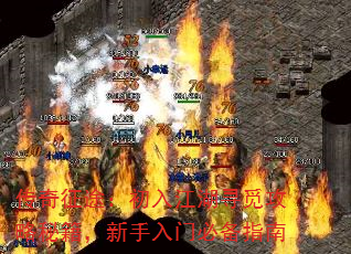 ������;�����뽭��Ѱ�ٹ����ؼ����������űر�ָ��