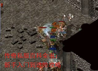 ����˽���ٿ�ȫ�飺�������ŵ����׹���