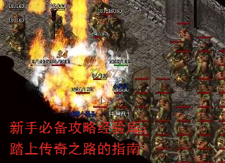 ���ֱر����Ծ���⣺̤�ϴ���֮·��ָ��