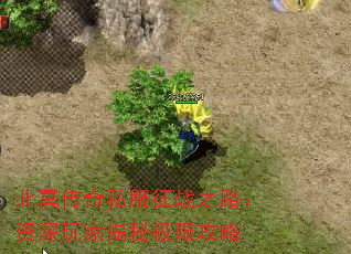 ��ڤ����˽����ս֮·��������ҽ��ؼ��޹���