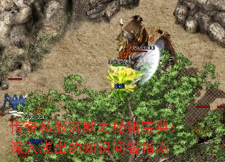 ����˽����Ĭ֮�ؼ����䣺����ǳ����֪ʶ�ʴ�ָ��