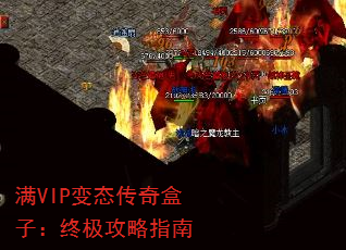��VIP��̬������ӣ��ռ�����ָ��