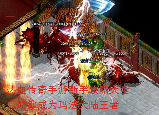 ��Ѫ�����������ֹ��Դ�ȫ�������Ϊ�귨��½����