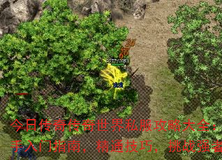 ���մ��洫������˽�����Դ�ȫ����������ָ�ϣ���ͨ���ɣ���սǿ��