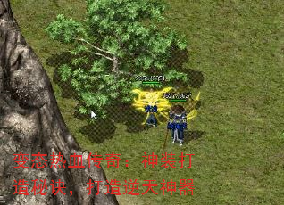 ��̬��Ѫ���棺��װ�����ؾ���������������