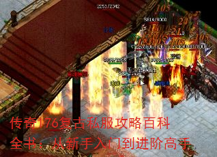 ����176����˽�����԰ٿ�ȫ�飺���������ŵ����׸���