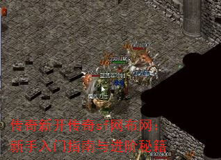 �����¿�����sf����������������ָ��������ؼ�