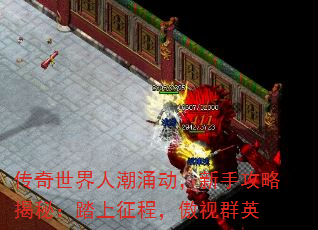 ���������˳�ӿ�������ֹ��Խ��أ�̤�����̣�����ȺӢ