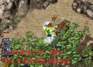 176���澫Ʒ�棺̽���귨��½�ļ��¹����ؼ�
