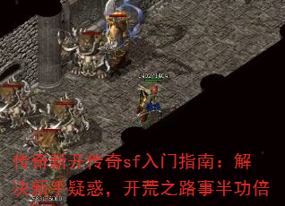 �����¿�����sf����ָ�ϣ���������ɻ󣬿���֮·�°빦��