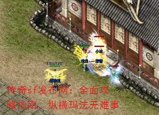 ����sf��������ȫ�湥��ָ�ϣ��ݺ��귨������