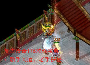���Ŵ���176���Ա��䣺�����ʵ�������̽��