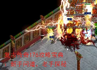 ���Ŵ���176���Ա��䣺�����ʵ�������̽��