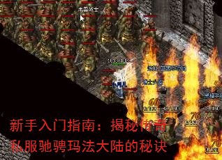 ��������ָ�ϣ����ش���˽���۳��귨��½���ؾ�