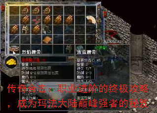 ����ϻ���ְҵ���׵��ռ����ԣ���Ϊ�귨��½�۷�ǿ�ߵ�����