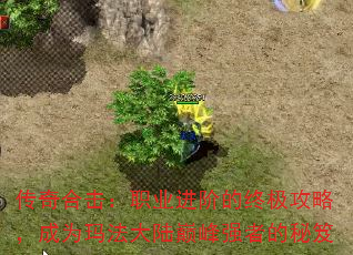 ����ϻ���ְҵ���׵��ռ����ԣ���Ϊ�귨��½�۷�ǿ�ߵ�����