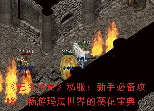 ���������桷˽�������ֱر����ԣ������귨����Ŀ�������
