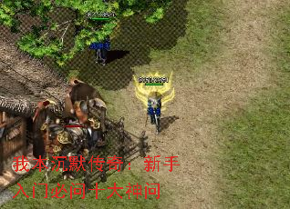 �ұ���Ĭ���棺�������ű���ʮ������