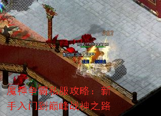 ħ������˽�����ԣ��������ŵ��۷�ս��֮·