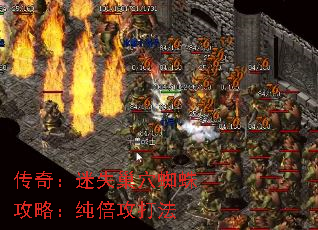 ���棺��ʧ��Ѩ֩�빥�ԣ���������