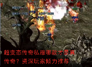 ����̬����˽���Ŀ�����洫�棿������������Ƽ�