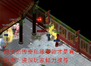����̬����˽���Ŀ�����洫�棿������������Ƽ�