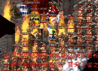 ����֮����Ѫ����˽����ս����ָ�ϣ�������ο�����������������֮·