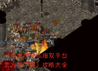 ����Ѫ����˽��˫ƽ̨�ٷ������ء����Դ�ȫ
