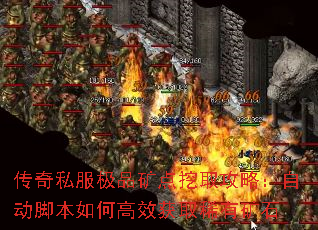 ����˽����Ʒ�����ȡ���ԣ��Զ��ű���θ�Ч��ȡϡ�п�ʯ