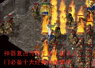 �������Ŵ������Σ��������űر�ʮ�󾭵����⼯��