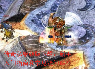 ����˽���������أ���������ָ�Ϻͳ������ʽ��