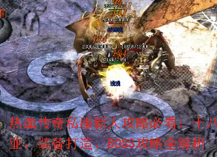 ��Ѫ����˽�����˹��Աؿ���ʮ�˴�ְҵ��װ�����졢BOSS����ȫ����