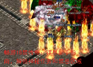 ����18�����棺�꾡����ָ�ϣ�������������ͽ�������