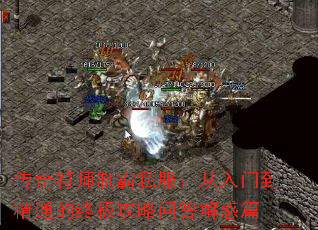 �����ʦ�ư�˽���������ŵ���ͨ���ռ������ʴ���ƪ
