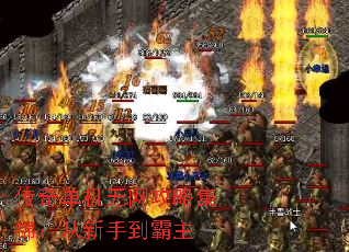���浥���������Լ����������ֵ�����