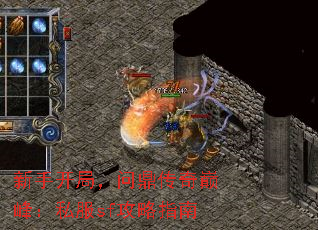 ���ֿ��֣��ʶ������۷壺˽��sf����ָ��