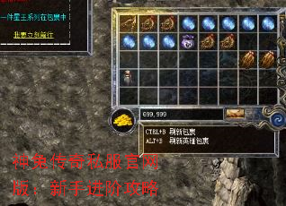 ���ô���˽�������棺���ֽ��׹���