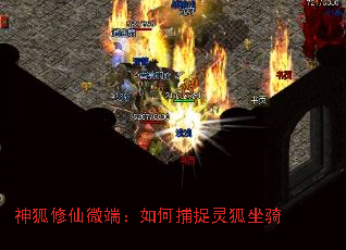 �������΢�ˣ���β�׽�������