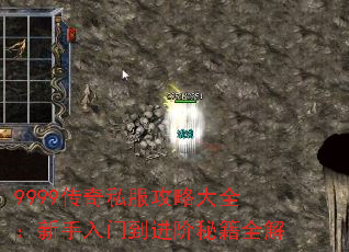 9999����˽�����Դ�ȫ���������ŵ������ؼ�ȫ��