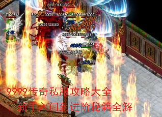 9999����˽�����Դ�ȫ���������ŵ������ؼ�ȫ��