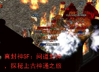 �����SF���ʵ�����̽���Ϲ���֮ͨ��