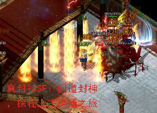 �����SF���ʵ�����̽���Ϲ���֮ͨ��
