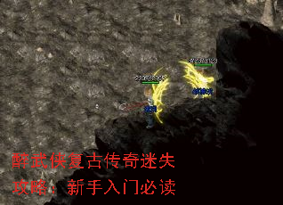 ���������Ŵ�����ʧ���ԣ��������űض�