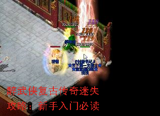 ���������Ŵ�����ʧ���ԣ��������űض�
