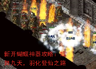 �¿������������ԣ�������죬�𻯵���֮·