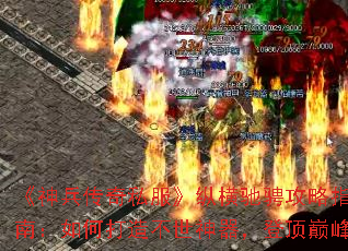 ���������˽�����ݺ�۳ҹ���ָ�ϣ���δ��첻���������Ƕ��۷�