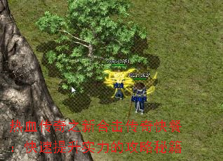 ��Ѫ����֮�ºϻ������ͣ���������ʵ���Ĺ����ؼ�