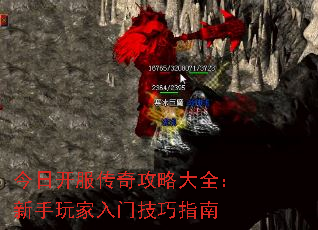 ���տ������湥�Դ�ȫ������������ż���ָ��